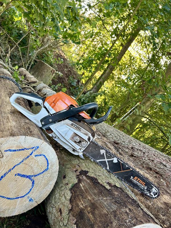 903d39bf-b16d-5552-97c8-d1fb04e445e9